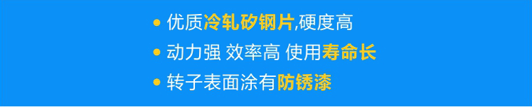 使用優(yōu)質(zhì)冷軋矽鋼片，硬度高；轉(zhuǎn)子經(jīng)高頻淬火，動力強(qiáng) 效率高 壽命長；轉(zhuǎn)子表面涂有防銹漆，更耐用！